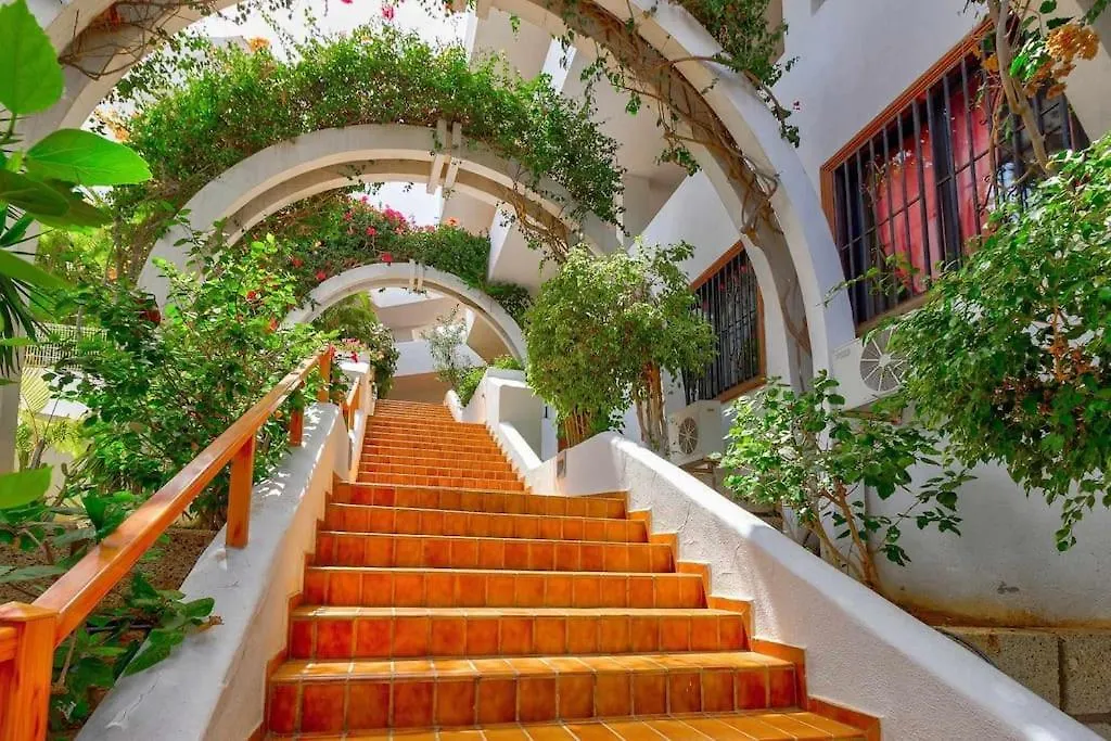 Ocean View Apartments In Park Royal I Costa Adeje  Spain